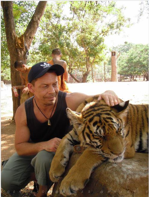 THAILANDE LE TEMPLE DES TIGRES (23).JPG
